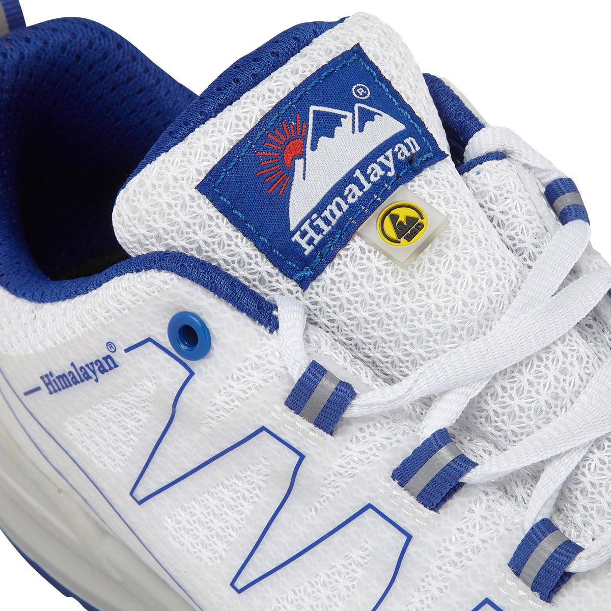 size 16 esd safety trainer